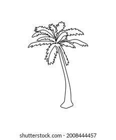 Palm tree one line art. Continuous line drawing of plants, herb, tree, wood, palm tree, tropical leaves, coconut, exotic plant, nature, flora.