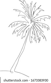 palm tree one line vector drawing  continuous line coconut trees and minimalist design  Decorative coconut palm tree concept for travel vacation tourism campaign 