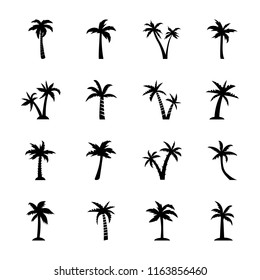 
Palm Tree Outline
