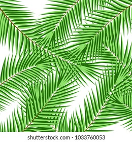 Palm tree pattern. Abstract nature background. Stock vector.