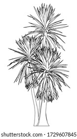 Ilustración de líneas poligonales en el árbol de palmas. Árbol de palma vector abstracto sobre el fondo blanco