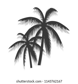 Palm tree poster isolated on white background. Modern summer backdrop for web site, wallpaper, placard and ad. Useful for cover, banner and print materials. Creative art concept, vector illustration