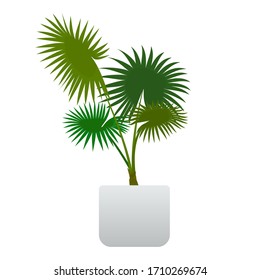 Palm tree in a pot. The houseplant for interior decor of home or office, for creating comfort. Isolated object. Vector illustration on a white background in the cartoon style.