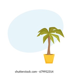 Palm tree in pot. Interior home and office houseplant cartoon vector illistration. Flower growth and gardening.