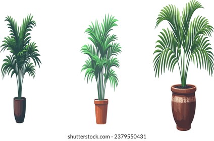 Palm tree in the pot, Vector Illustration on a transparent background	
