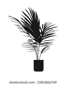 Palm tree. A potted houseplant. Vector illustration. Silhouette of a plant