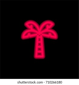 Palm tree red glowing neon ui ux icon. Glowing sign logo vector