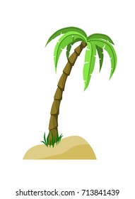 Palm Tree in the sand with shadows
