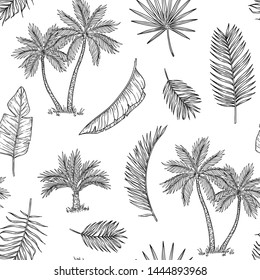 Palm tree seamless background. Tropical coconut palm, exotic island. Vintage hand drawing abstract floral summer vector print pattern. Pattern seamless tree palm leaf background illustration graphic