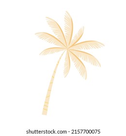 Palm tree semi flat color vector element. Full sized object on white. Seaside vacation. Tropical and jungle plant simple cartoon style illustration for web graphic design and animation