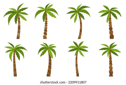 Palm tree set. Beautiful colorful cartoon tropical beach plants with green leaves and trunk. Coconut jungle cultivated gardening. Exotic green tree for poster banner card isolated on white background