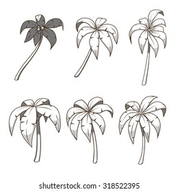 Palm tree set colorless vector illustration