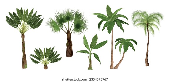 Palm tree set with isolated images of exotic tropical trees of different types on blank background vector illustration svg