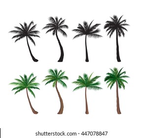 Palm tree set Nature floral design elements Tropical plant trees flat colorful design and black silhouette collection