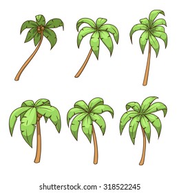 Palm tree set vector illustration