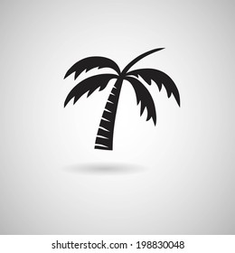 Palm Tree sign icon