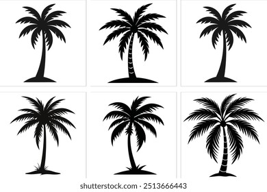 A palm tree silhoeutte vector illustration