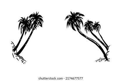 Palm tree silhouette. 2 palm trees isolated on white background. Vector illustration. for print, icon design, web, home decor, fashion, surface, graph