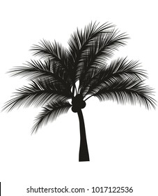 Palm tree silhouette.