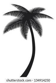 palm  tree silhouette