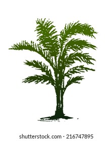Palm Tree Silhouette