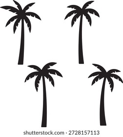 silueta de palmera, palmera, árbol, 