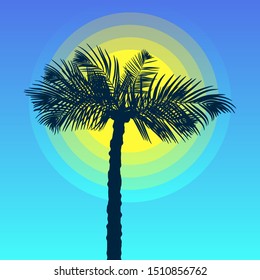 Palm tree silhouette of the against the sunset background. Vector illustration EPS10