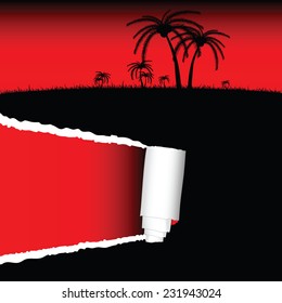 palm tree silhouette for background with paper