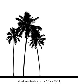 Palm Tree Silhouette Black