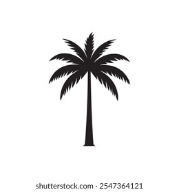 palm tree silhouette. Black palm silhouettes. Tropical trees shadows. Variety beach palms with leaves.