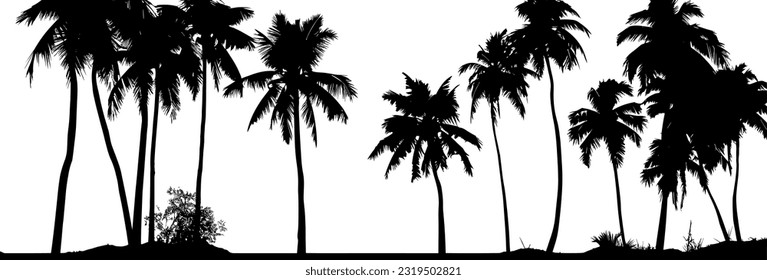 Palm tree silhouette. Black vector border