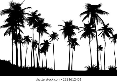 Palm tree silhouette. Black vector border