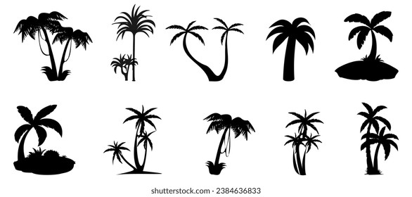 Palm tree silhouette collection in black. Palm tree isolated on a white background. Tropical palm trees. Set of silhouettes of palm trees