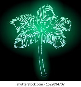 Palm tree silhouette at dark background. Vector illustration EPS10