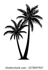 Palm tree silhouette detail illustration black and white