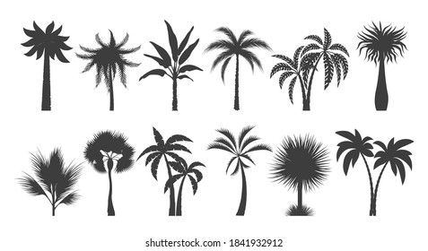 Palm tree silhouette drawings. Coconut palms silhouettes with branches isolated on white background, tropical flora, caribbean trees vector graphic, beach tourism ink signs