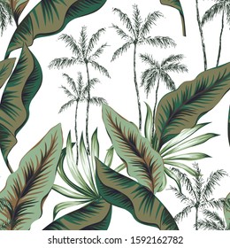 Palm tree silhouette, green banana leaves, white background. Vector seamless pattern. Tropical floral illustration. Exotic plants. Summer beach design. Paradise nature