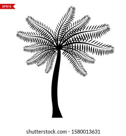 Palm tree silhouette icon. With white background, vector