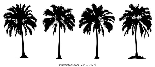 palm tree silhouette illustration set isolated on white, decorative element for poster, banner and background