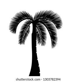 Palm Tree Silhouette Isolated On White Stock Vector (Royalty Free ...