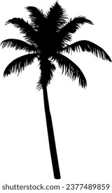 Palm tree silhouette isolated on white background. Vector Illustration.
