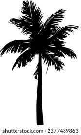 Palm tree silhouette isolated on white background. Vector Illustration.