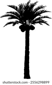 Palm tree silhouette isolated on transparent background. Vector illustration.