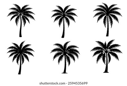 Palm tree silhouette isolated on white background. 