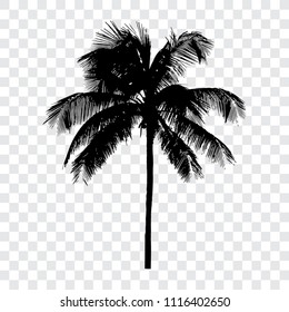 Palm tree silhouette, isolated vector illustration.