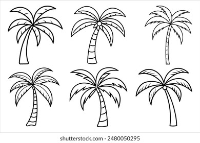 palm tree silhouette and line art vector