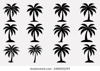palm tree silhouette and line art vector