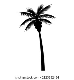 Palm tree silhouette monochrome isolated white background