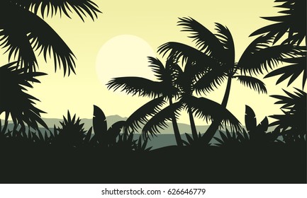 Palm tree silhouette on jungle scenery