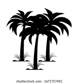 palm tree silhouette on a white background, vector